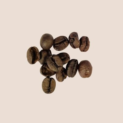 Se alle vores single-origin kaffevarianter her
