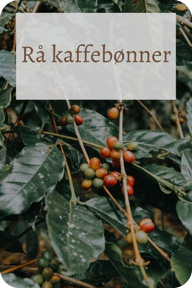Find rå kaffebønner eller grønne kaffebønner her på atcasa.