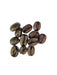 Sleepy Panther Økologisk koffeinfri kaffe køb hele kaffebønner